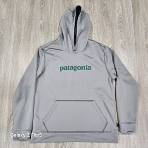 Patagonia Gray Hoodie
